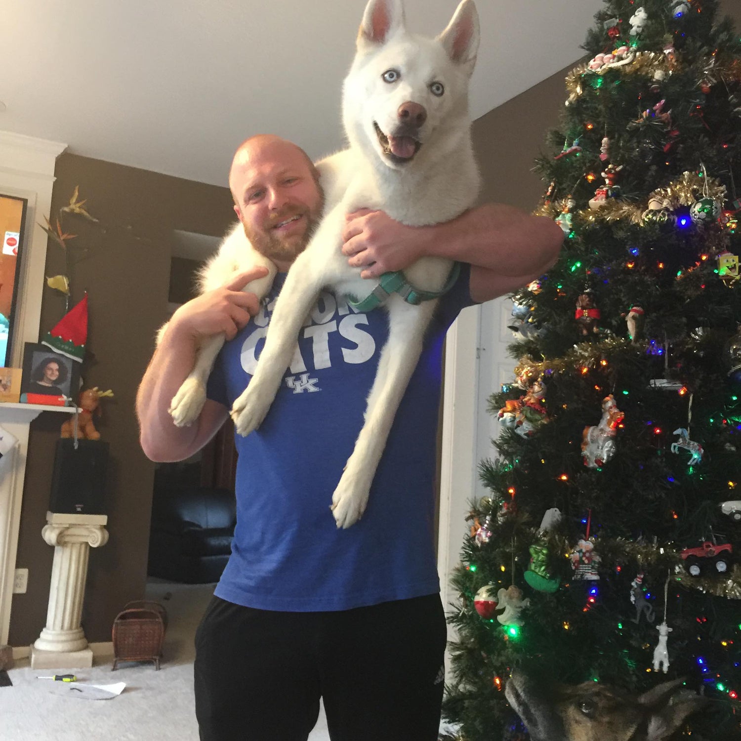 Curatives' Hopsin the Husky Dog with CoFounder James by Christmas Tree