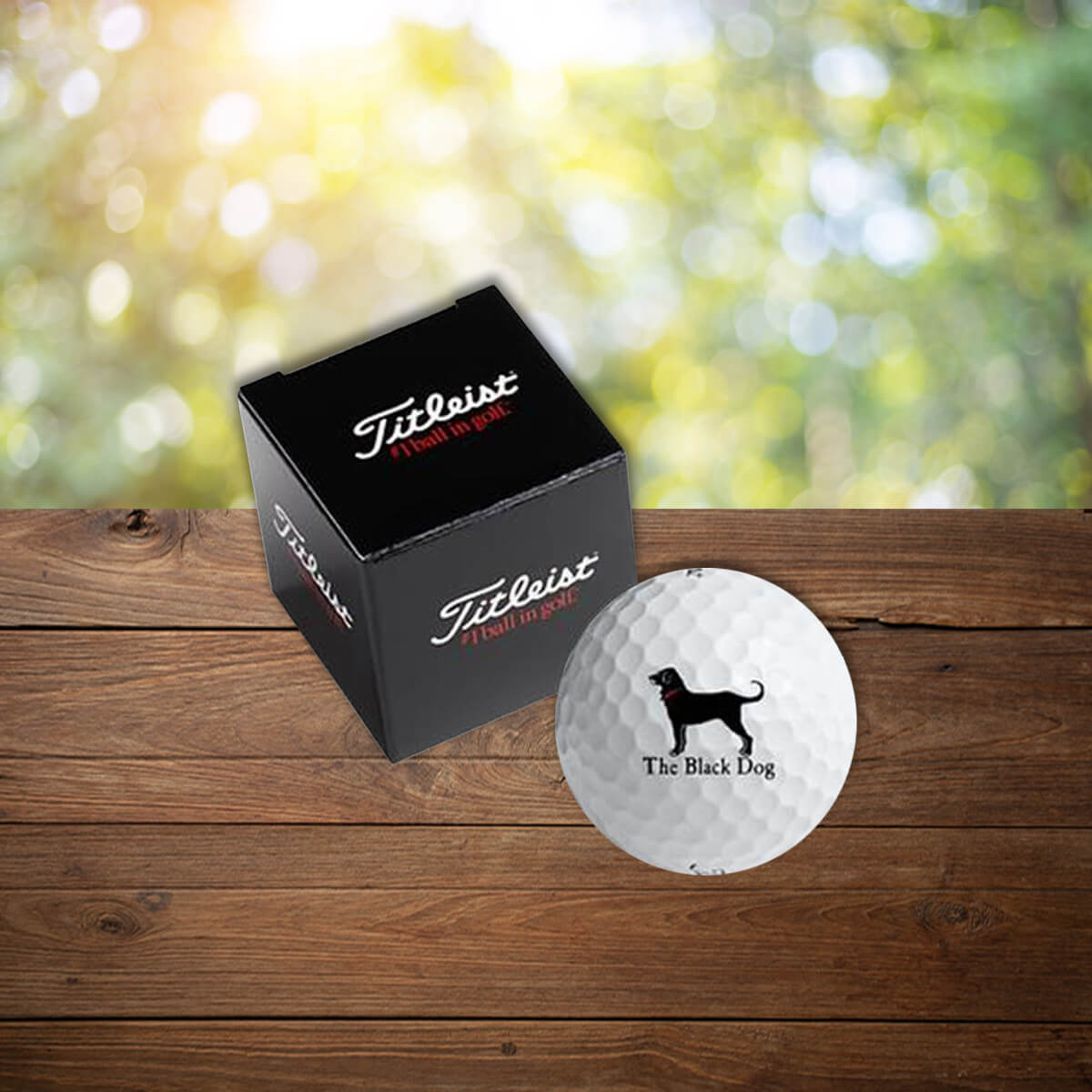 Individually packaged logo'd golf ball custom promotional golf by curative printing