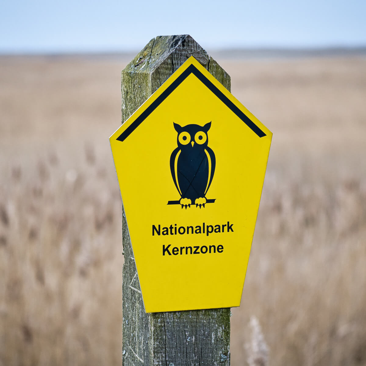 Outdoor national park pvc signs and banners by Curative Printing